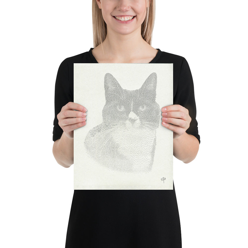 Cat Drawing Poster