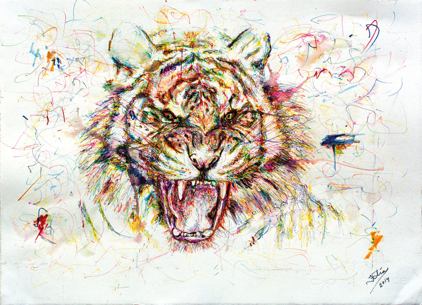 "Tatewari Ute’a" Tiger Drawing