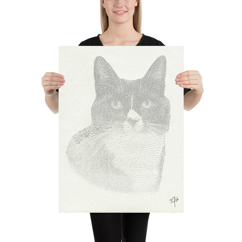 Cat Drawing Poster