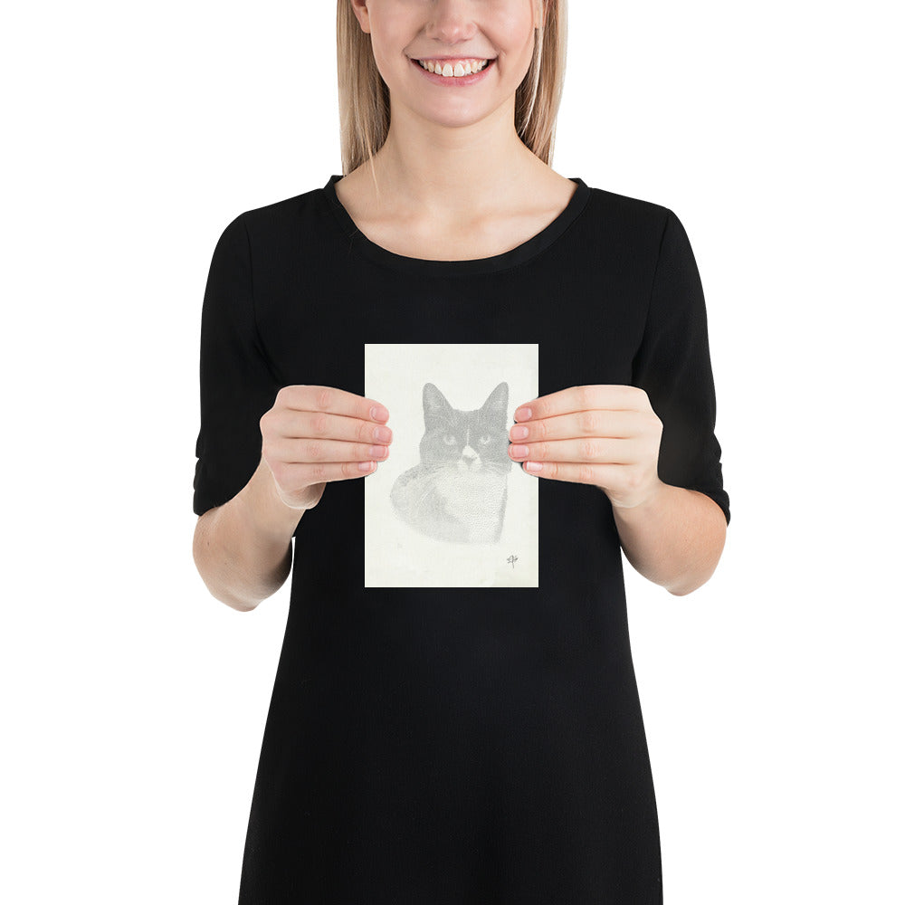 Cat Drawing Poster